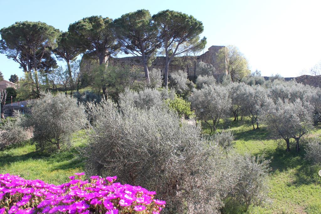 La Mandragola