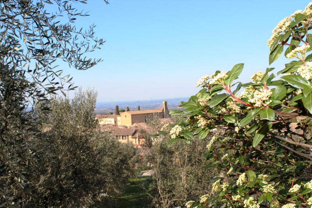 La Mandragola Bed & Breakfast